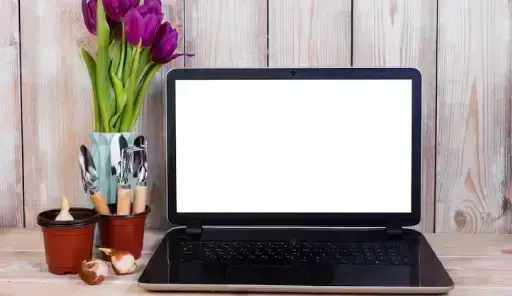 Top Budget Laptops Under ₹30,000 Perfect for Students and Online Learning