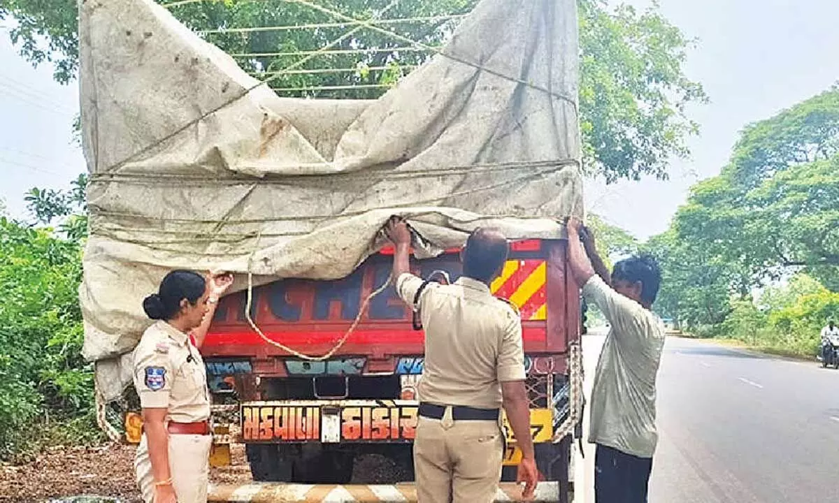 Cops crackdown on illegal cattle smuggling Cops crackdown on illegal cattle smuggling