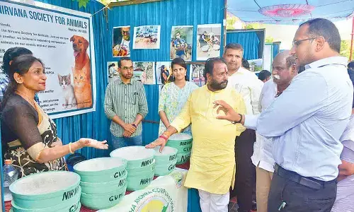 Mayor stresses on adoption of eco-friendly alternatives