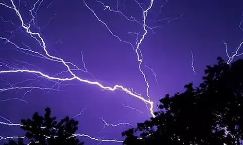 9 die in lightning strikes across State