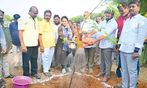 Plantation drive taken up during ‘Beat the heat’ prog