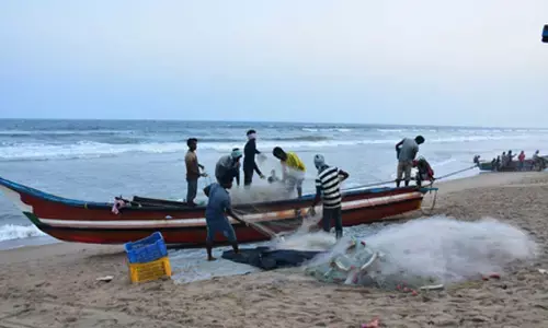 Kerala fishermen violate TN fishing ban, boat owners summoned