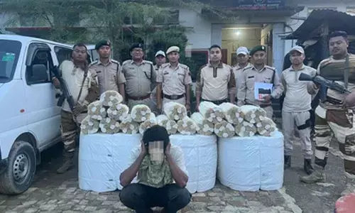 Manipur man arrested for illegally trading peacock feather shafts to Myanmar