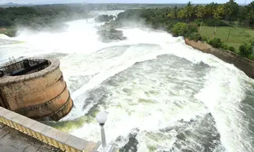 Hydro plant hit by deadliest flood in Himachal restored