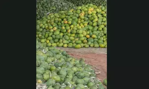 Chemically Ripened Mangoes Pose Serious Health Risks; Authorities Urged to Act Swiftly