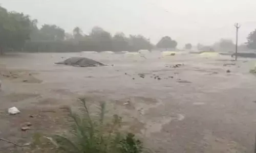 Unseasonal Rains Devastate Yasangi Paddy: Farmers in Mandoddi Left in Tears as Grain Lies Soaked and Unsold