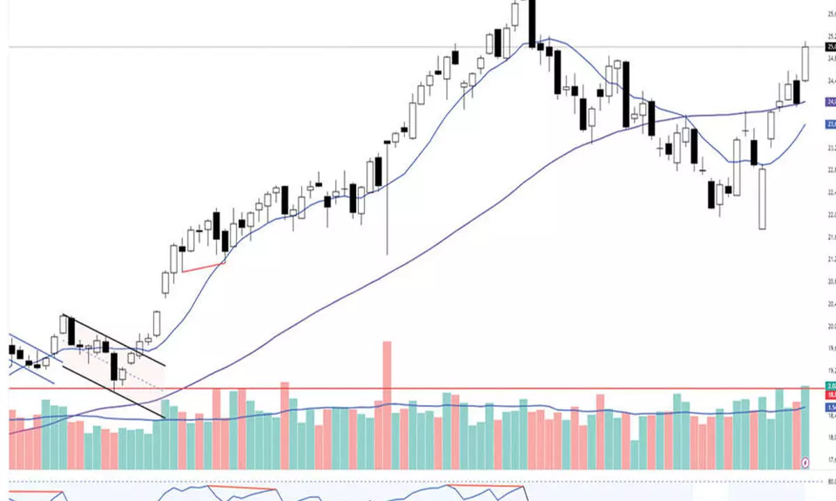 Weekly RSI range in strong bullish zone