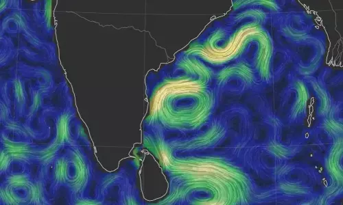 Turtle tagged with device reaches AP coast