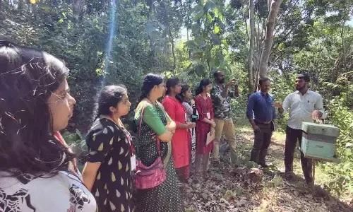 Bees are supreme species, not humans: Apiculturist