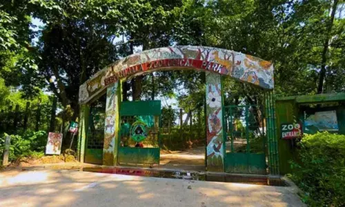 Three tiger cubs born at Tripura’s Sepahijala Zoo after 53 years