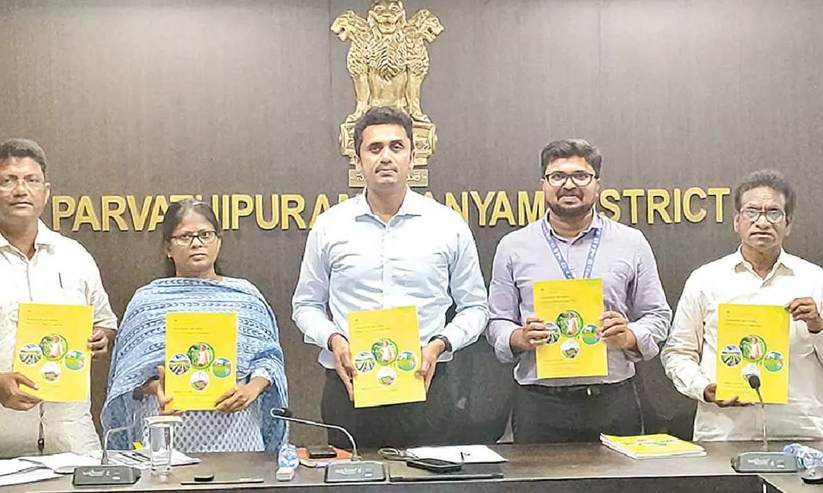 Collector unveils Rs 4,215 cr credit plan Collector unveils Rs 4,215 cr credit plan