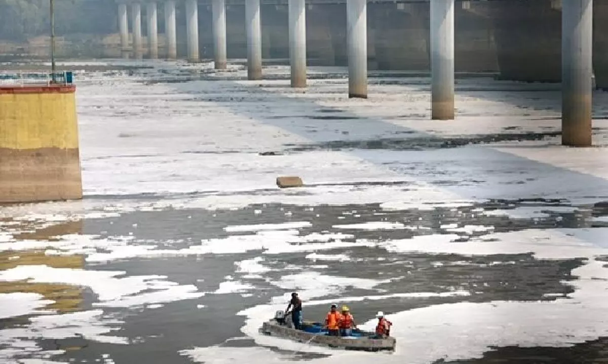 Yamuna shows signs of recovery as phosphate levels drop