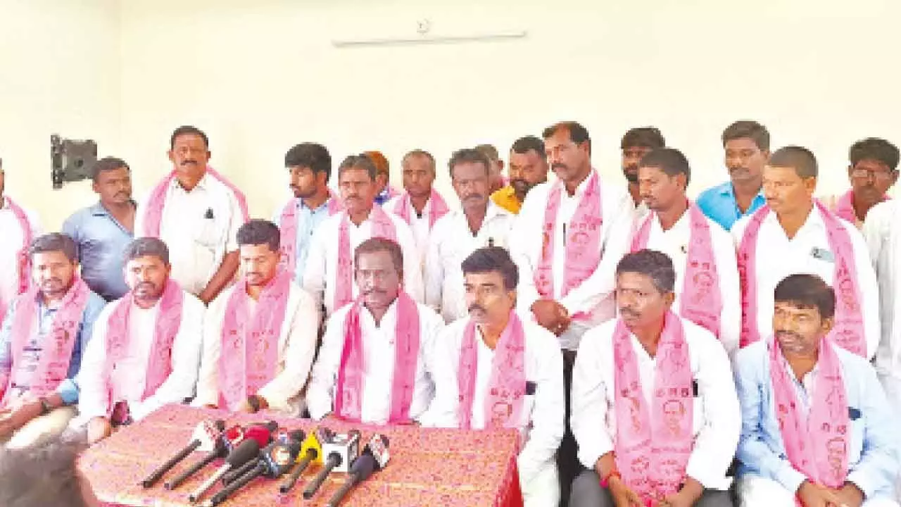 Cotton seed packet prices spark outrage