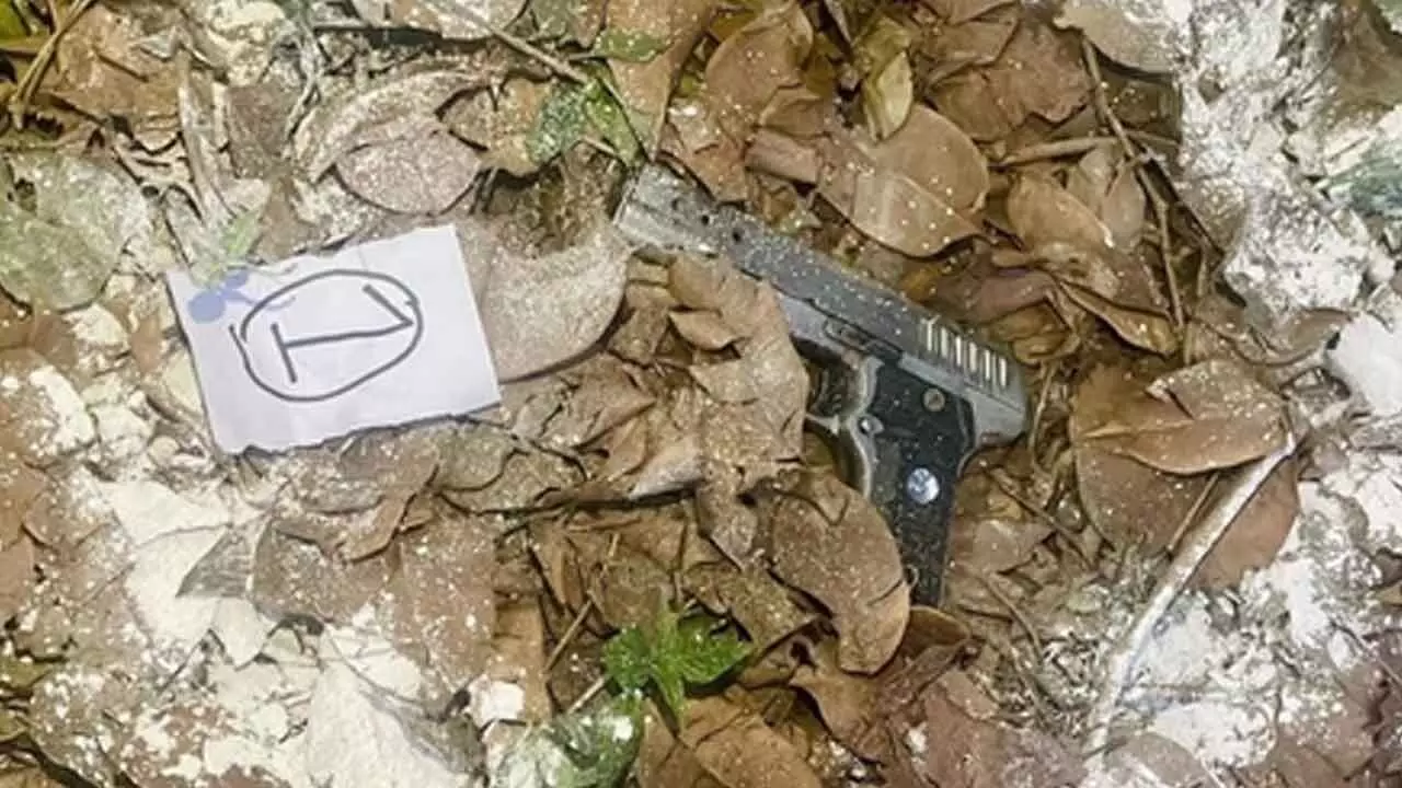 Punjab Police bust terror module operated by foreign handlers