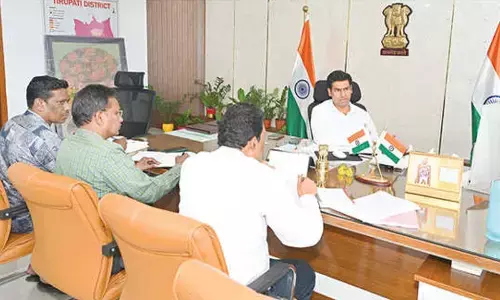 Banks agree to extend loan interest moratorium for mango pulp units