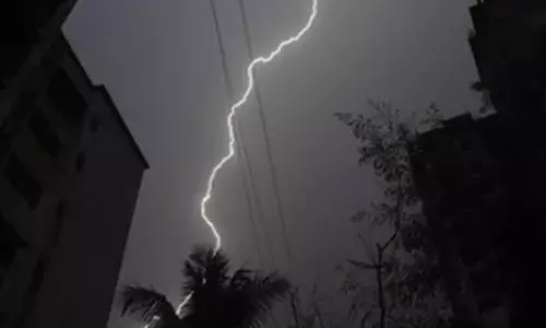 Over 40 sheep, goats killed in lightning strike in J&K’s Ganderbal