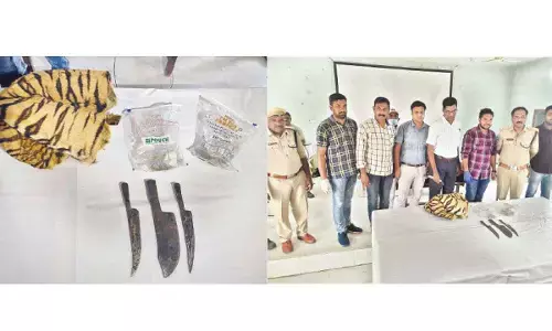 Forest officials recover body parts of killed tigress