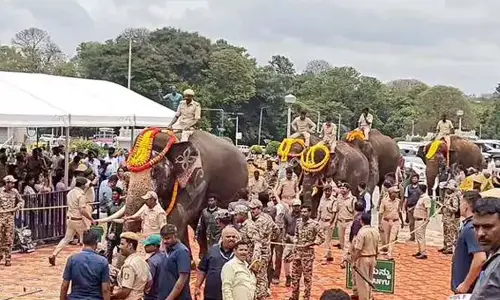 Karnataka govt handover Kumki elephants to AP, Pawan thanks CM