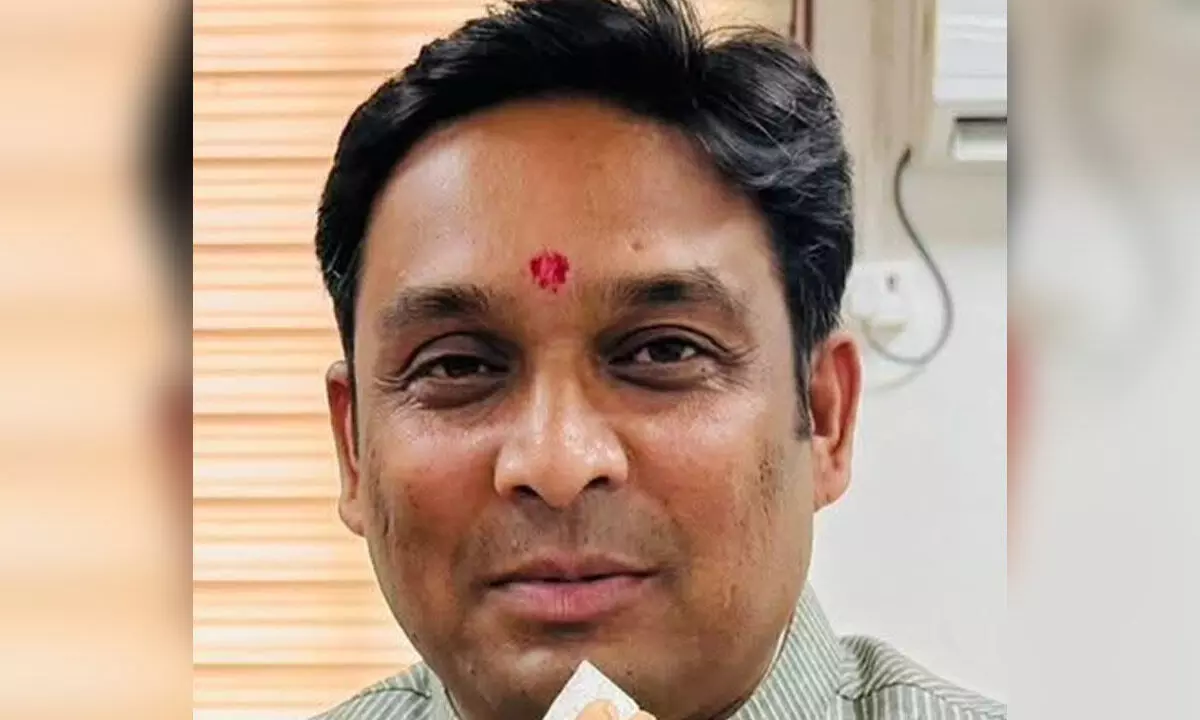 MP: Swarms of bees attack Parliamentarian, officials during irrigation project inspection MP: Swarms of bees attack Parliamentarian, officials during irrigation project inspection