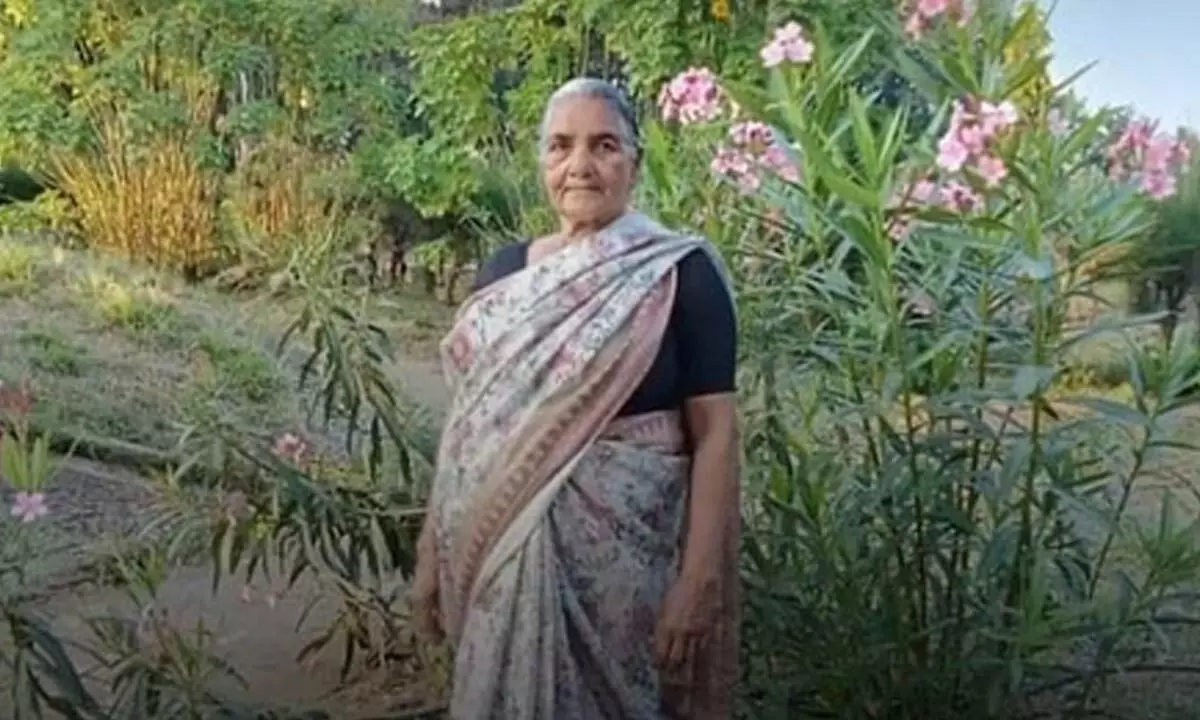 Elderly woman trampled to death by wild elephant in TN, another woman injured Elderly woman trampled to death by wild elephant in TN, another woman injured