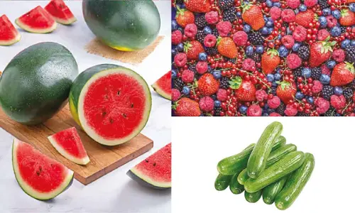 Stay hydrated with nature’s coolest fruits