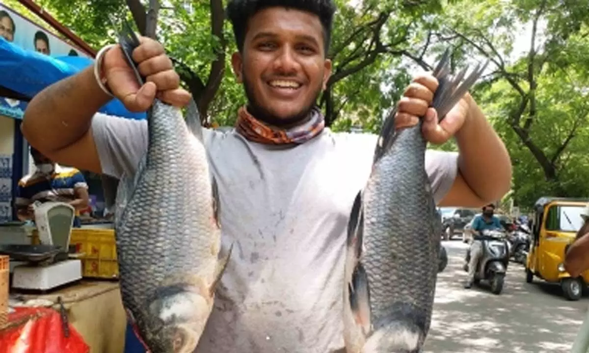 Drones to soon transport fish in difficult terrains: Centre Drones to soon transport fish in difficult terrains: Centre