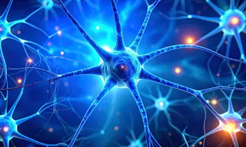 Study shows impact of weight loss drugs on nerve cells in brain