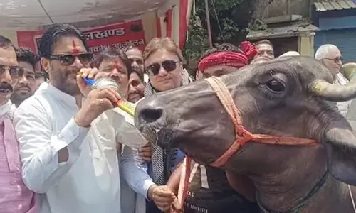 Dramatic protest in Jhansi: Chains, placards, and a buffalo lead power outage outcry