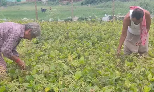 Bihar: Jamui farmers express satisfaction with PM-KISAN scheme