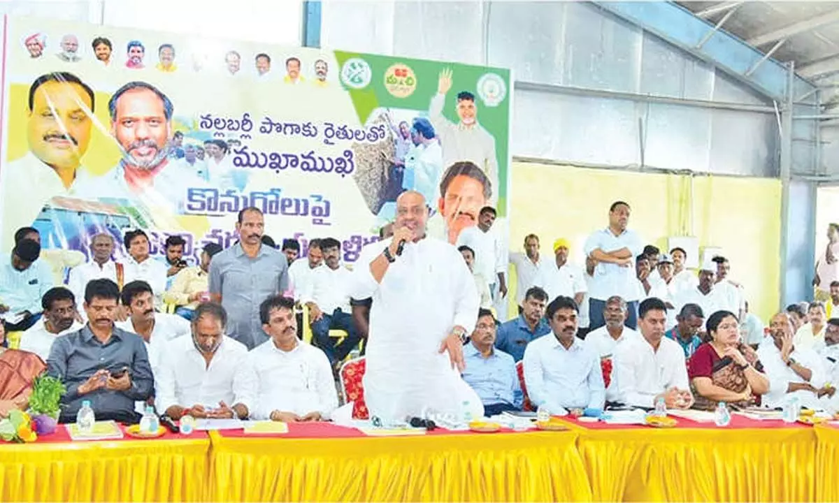 Govt pledges full support for Black Burley tobacco farmers Govt pledges full support for Black Burley tobacco farmers