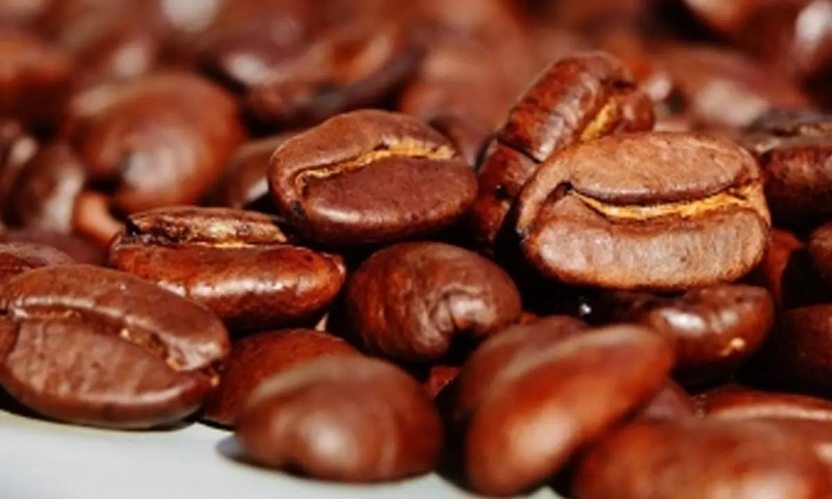 Coffee shops, eateries shrinks in Q1 amid sluggish consumption in S. Korea Coffee shops, eateries shrinks in Q1 amid sluggish consumption in S. Korea