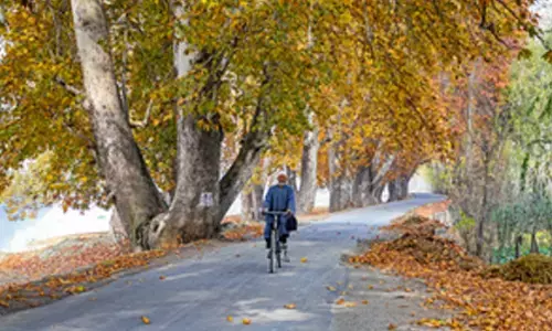 Daylight can boost immune system’s ability to ward off infections: Study