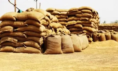 Centre’s wheat purchase at MSP crosses 29.7 million tonnes