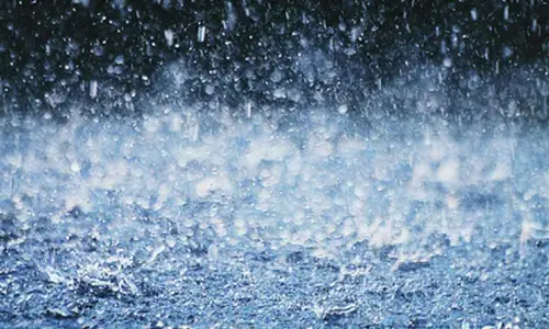 Heavy rain forecast for several TN districts till May 28