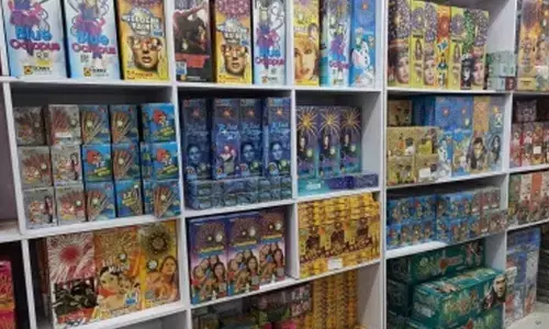 Sivakasi fireworks industry seeks GI tag to preserve legacy and boost exports