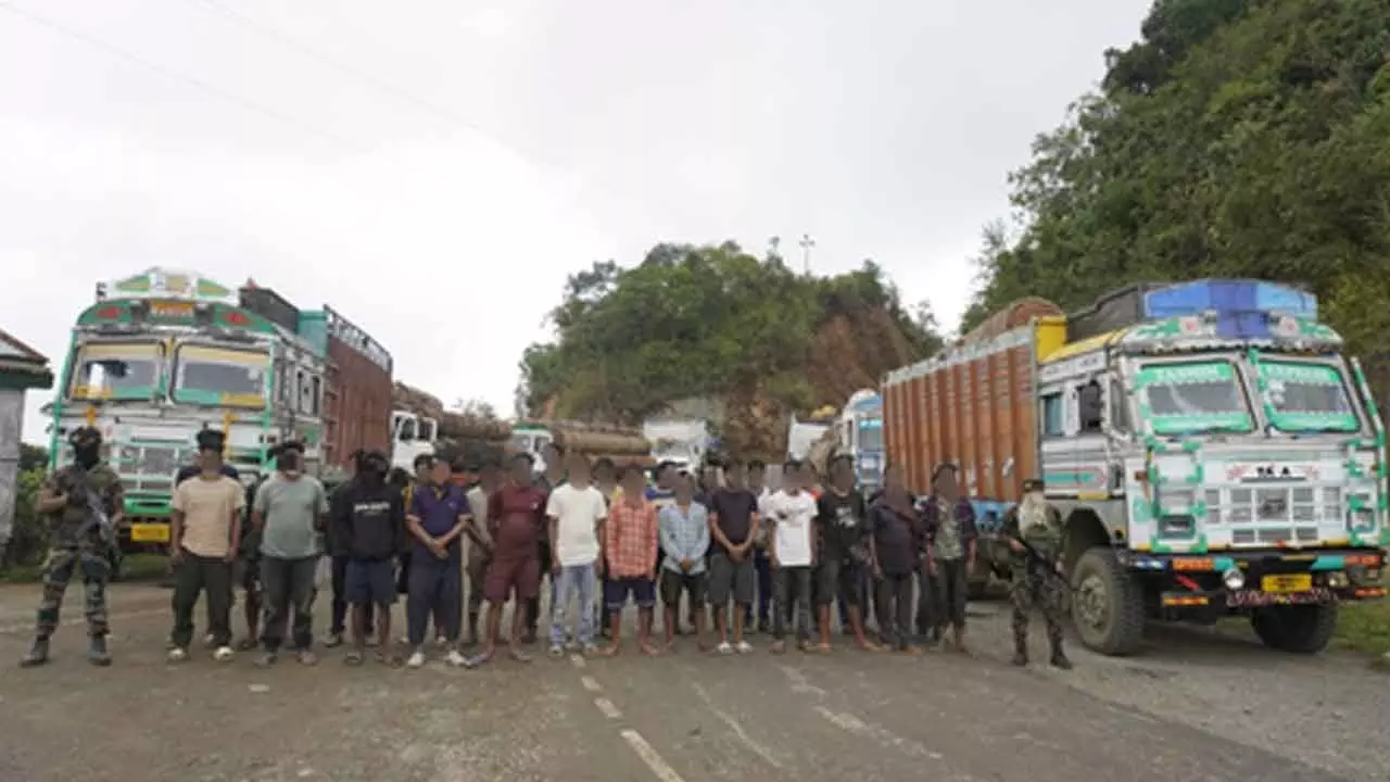 Illegally transported timber in 61 trucks worth Rs 3.1 crore seized in Manipur Illegally transported timber in 61 trucks worth Rs 3.1 crore seized in Manipur