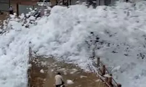 Toxic foam forms again in Bellandur Lake