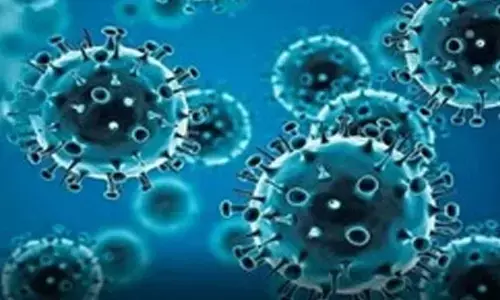 COVID-19 Cases Rise in Karnataka, School Reopening May Be Delayed