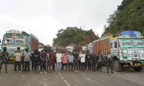 Illegally transported timber in 61 trucks worth Rs 3.1 crore seized in Manipur