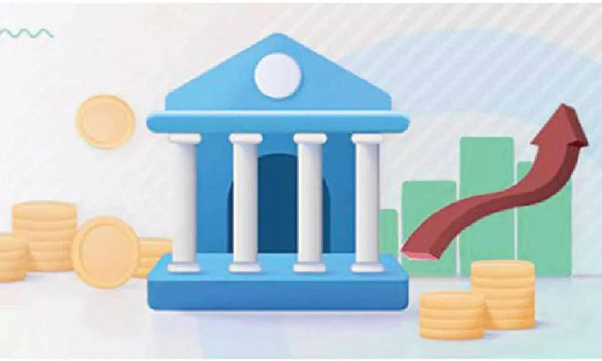 Govt-owned NBFIs in for strong growth