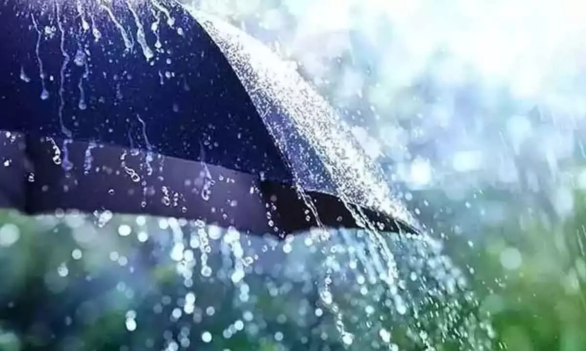 Andhra Pradesh: Heavy rain hits Kadapa