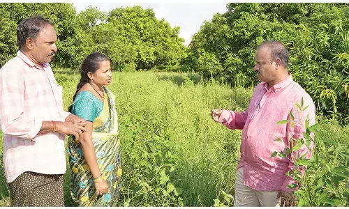 This woman makes farming profitable