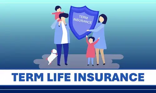 Life Insurance in 2025: 5 Types Explained and How to Pick the Right One