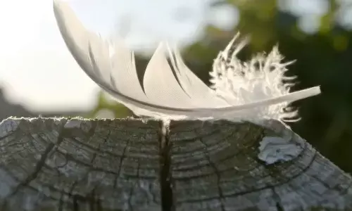 Veo 3 Video AI Launch: Pakistan Leads Ahead of India and EU