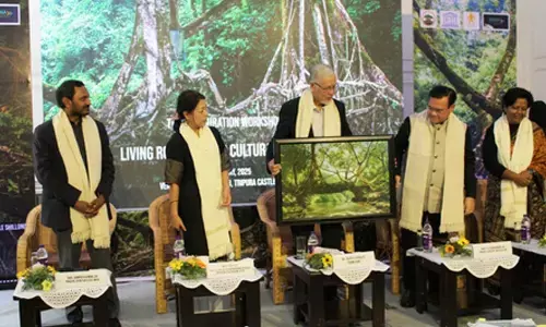 Meghalaya govt pushes for UNESCO focus on living root bridges