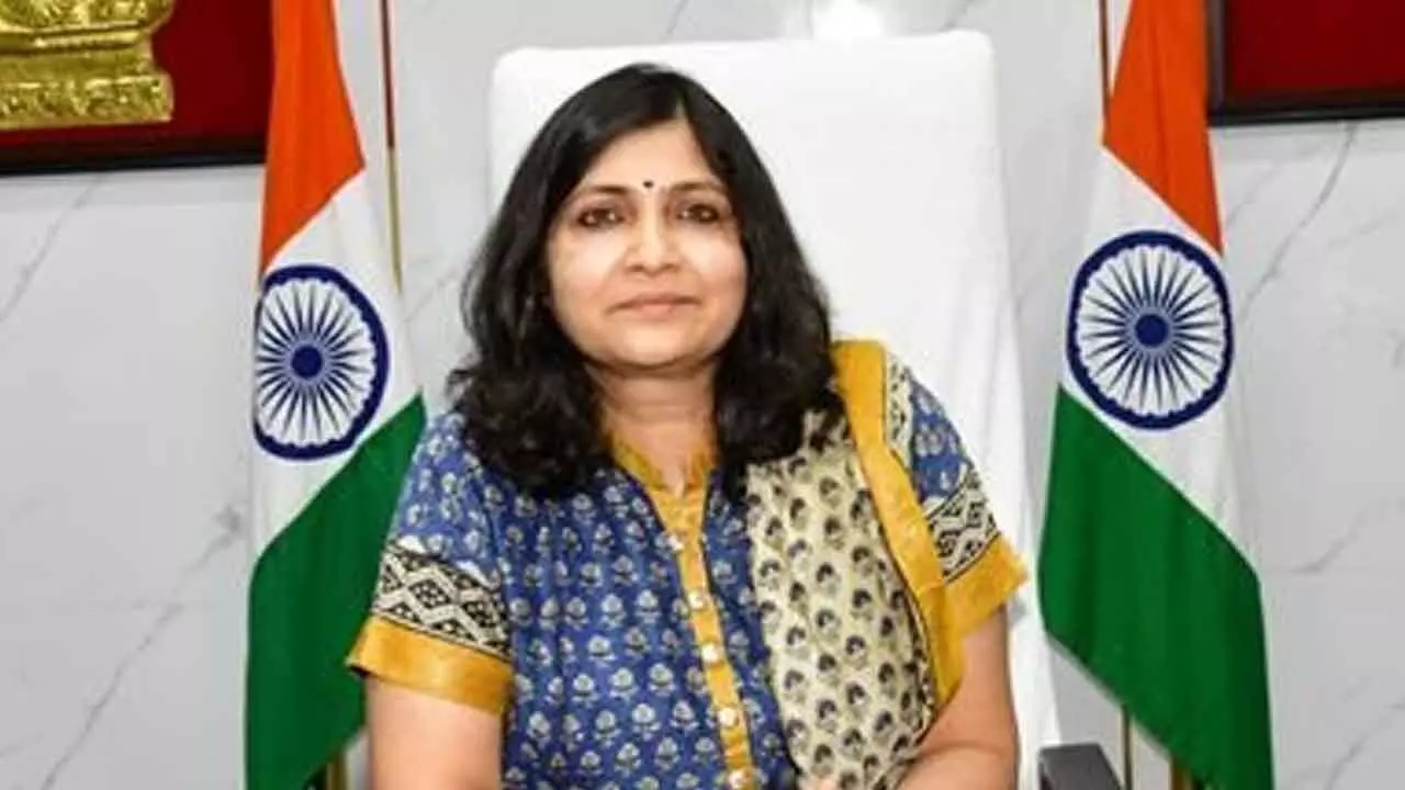 58 lakh saplings to be planted this Vana Mahotsav in MBNR 58 lakh saplings to be planted this Vana Mahotsav in MBNR