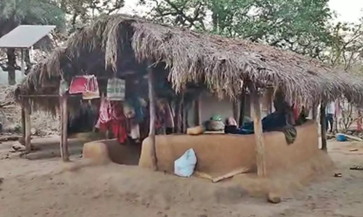 Niyad Nellanar scheme brings lasting changes in Chhattisgarhs Chilkapalli village