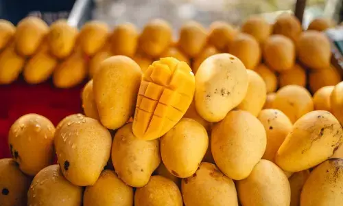 Why Mango Flesh Turns Brown and 5 Simple Ways to Keep It Fresh Longer