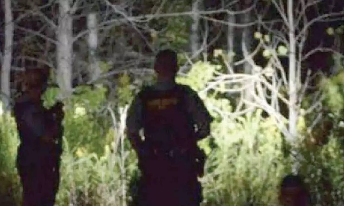 Explosives-laden truck looted