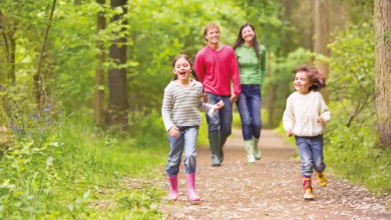 Daylight can boost immune system’s ability to ward off infections: Study Daylight can boost immune system’s ability to ward off infections: Study